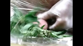 Preview 2 of Old Mothers And Young Son - Stinging nettles hammering penis dare by slave Andy