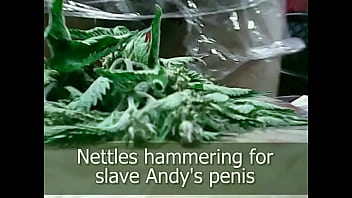 Preview 1 of Old Mothers And Young Son - Stinging nettles hammering penis dare by slave Andy