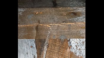 Preview 4 of Amigas Xxxcolegialas - Ftm Pissing off the porch