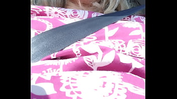 Preview 4 of Animal With Animal Sex Videos - Playing with pussy in the car