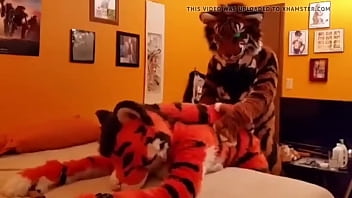 Preview 2 of Church Mms - 2 Cat&#039_s 1 Bed