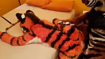 Preview 4 of Church Mms - 2 Cat&#039_s 1 Bed