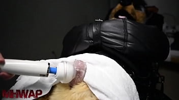 Preview 2 of Www Step Son Sex Com - Furry wand milking bondage