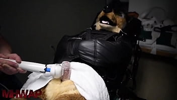 Preview 3 of Www Step Son Sex Com - Furry wand milking bondage
