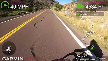 Preview 3 of Better Bur - SUCK MY BALLS : TUCSON,  AZ // PART 2 // THE MOVIE