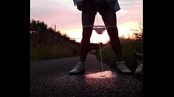 Preview 3 of Scarlet Johnsson Porn - Onderweg bij een wandeling plassen