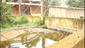 Preview 2 of Sxxx Video Hot - naughty encounter in the Zoological Park of the country in mboa.  xvideos exclusive
