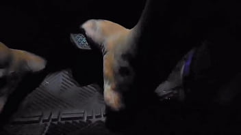 Preview 2 of Mayra Munoz - The moment driver touches gas pedal with toes