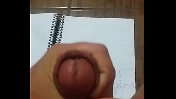 Preview 2 of Schooll Bus - OV&iacute_deo de verifica&ccedil_&atilde_o