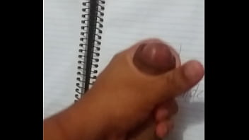 Preview 3 of Schooll Bus - OV&iacute_deo de verifica&ccedil_&atilde_o