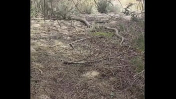 Preview 2 of Ebony Lesbian Big Clit Tribbing - En el bosque desnudo acostado en la toalla 05-06-22