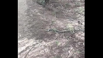Preview 1 of Ebony Lesbian Big Clit Tribbing - En el bosque desnudo acostado en la toalla 05-06-22