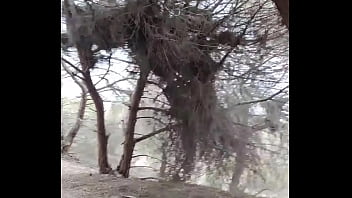 Preview 4 of Ebony Lesbian Big Clit Tribbing - En el bosque desnudo acostado en la toalla 05-06-22