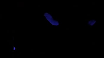 Preview 4 of Pinoy Baby Anal - Scarlett Johnson Blacklight Sex POV 2