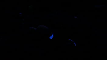 Preview 2 of Jasmine Jae Lesbian Pleasures - Scarlett Johnson Blacklight Sex MAIN 4