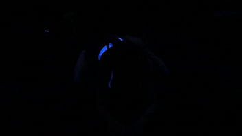 Preview 3 of Jasmine Jae Lesbian Pleasures - Scarlett Johnson Blacklight Sex MAIN 4