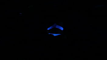 Preview 4 of Jasmine Jae Lesbian Pleasures - Scarlett Johnson Blacklight Sex MAIN 4