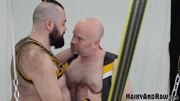 Preview 1 of Jap Orgy Creampie - HAIRYANDRAW Fat Bears Steve Brody And Bearsilien Raw Breed