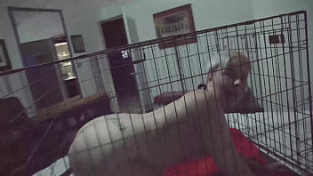 Preview 3 of 18 Yera Xxx Video - # Violet Coxx FTM Puppy sex