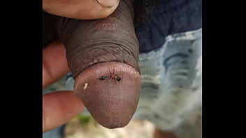 Preview 1 of Mom Incest Dominican - Ant bite my penice