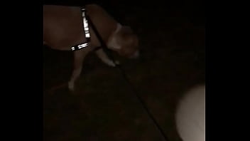 Preview 1 of Mistress Pissing Slave Mouth - 4 am going for a short walk with my pups