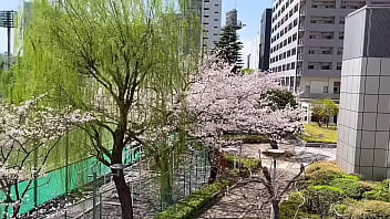 Preview 1 of Boy Anb - 東京の桜
