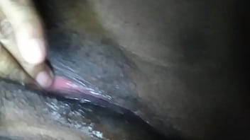 Preview 1 of Annual Eel - Humeda