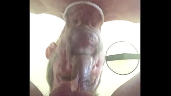 Preview 3 of Www Brazilian Porn Com - Sucking On my Friends Big Cock and Licking His Balls