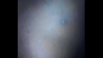 Preview 3 of Spir Swallow - Verification video