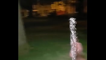 Preview 2 of Amateur British Mature Gang - Park Piss Public