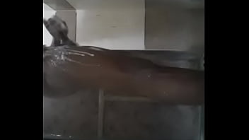 Preview 2 of Aysan Lee - Sexyking0/goodlover0101@gmail.com...........My everyday bathing masturbation