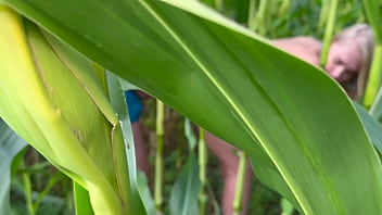 Preview 1 of Warkut M - Outdoor strap on fucking in cornfield with HUGE dildo