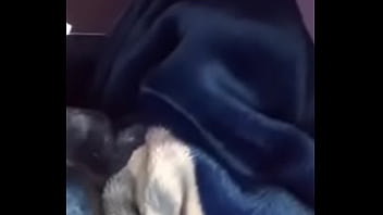 Preview 2 of Sunny Leon Cum Mouth - Face Fucking My Girlfriend Under The Blanket
