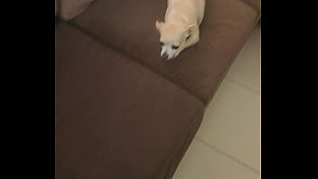 Preview 2 of Turkesh Xxx - Cadela sem vergonha msm sendo gorda