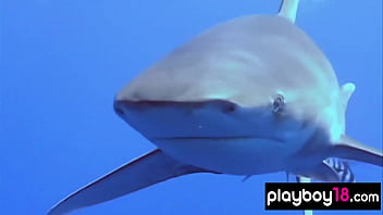 Preview 2 of Brazzers Perfect Ass - Nude badass Taylor Seinturier diving into the ocean to meet with a shark