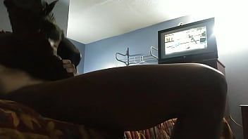 Preview 3 of Www Xxx Naim Xxx - Gorilladick34