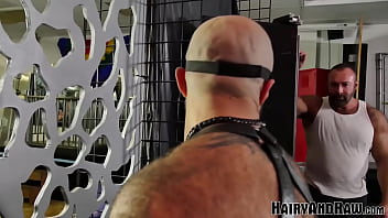 Preview 1 of Mexican Horny - HAIRYANDRAW Hairy Atlas Grant And Brad Kalvo Raw Breed Hard
