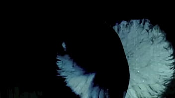 Preview 1 of Army Kidnap Sex - Dark Lantern Entertainment presents &#039_The Sins Of Our step Grandmothers&#039_ from My Secret Life,  The Erotic Confessions of a Victorian English Gentleman