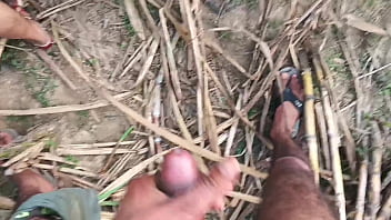Preview 3 of Sexy Small Chut - out door sugarcane field sexy married girlfriend ko choda full hard sex