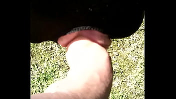 Preview 3 of Tomb Raider Xxx Cd2 - Dick tied bend over on spreaderbar,  having to suck