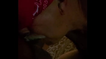 Preview 3 of Jenis Burung Lovwbird - Feeding the pig