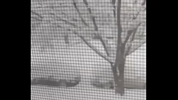 Preview 4 of Xpwg Com - White Christmas 2022