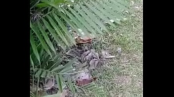 Preview 1 of Mature Eboy - voyeur showing my big ass outside and the park