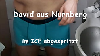 Preview 1 of Brazzers Mom Son Fucking - German Train wanking - Wanking at a ICE toilette