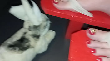 Preview 4 of Pakistani Xxx 2018 Sd - Geisha L red japanese Geta 25 cm high heels crush and trampling Bunny (video short version)