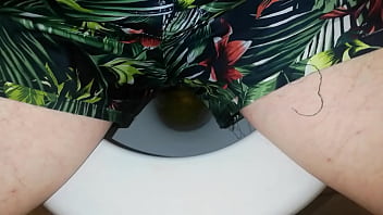 Preview 4 of Andeya Sxsx Video Hdhtml - GASTE85,  Peeing in toilette
