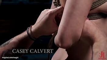 Preview 1 of Lupus Caning - Hogtied slave with hot ass whipped
