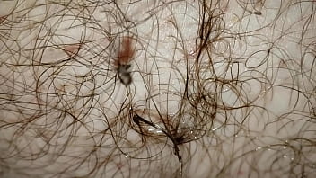 Preview 4 of Passion Hd Xxxxgym - Belly Button &amp_ Penis - Extreme Slo-mo Close-up &amp_ Detail