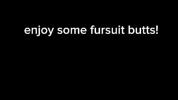 Preview 1 of New Busty Teen Porn - Fursuit butts #1