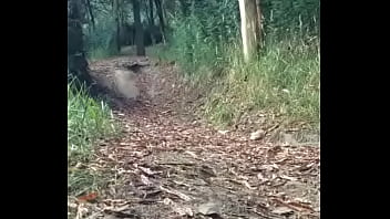 Preview 2 of Porlhub - En el bosque Pt 01